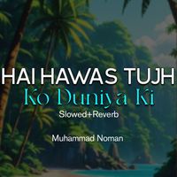 Muhammad Noman - Hai Hawas Tujh Ko Duniya Ki Lofi