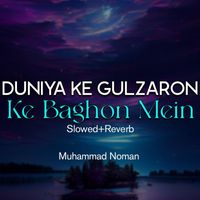 Muhammad Noman - Duniya Ke Gulzaron Ke Baghon Mein Lofi