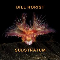 Bill Horist - Substratum