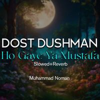 Muhammad Noman - Dost Dushman Ho Gaye Ya Mustafa Lofi
