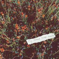 Tom Brown - My Holland Street Heart