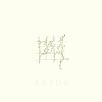 Local Sound - Abide