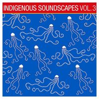 Ash Dargan - Indigenous Soundscapes, Vol. 3