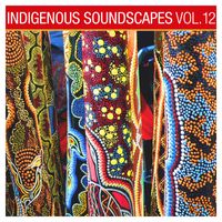 Ash Dargan - Indigenous Soundscapes, Vol. 12