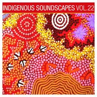 David Hudson - Indigenous Soundscapes, Vol. 22