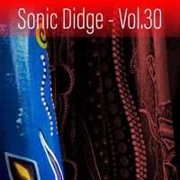 David Hudson - Sonic Didge, Vol. 30