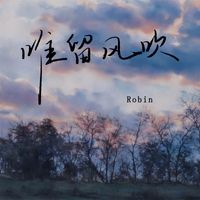 Robin - 唯留风吹