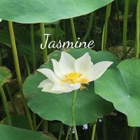 Peaceful Piano - Jasmine