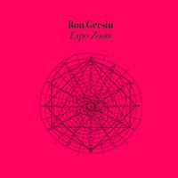 Ron Geesin - Expo Zoom