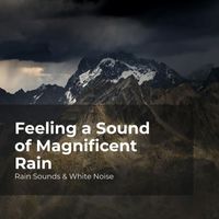 Rain Sounds & White Noise, Raindrops Sleep, Sleep Rain - Feeling a Sound of Magnificent Rain