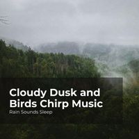 Rain Sounds Sleep, Rain Spa, Rain Sounds for Relaxation - Cloudy Dusk and Birds Chirp Music