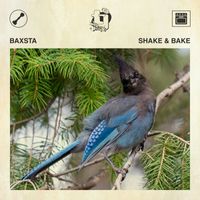 Baxsta - Shake & Bake