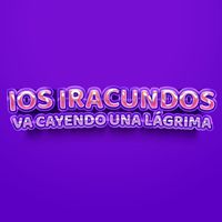 Los Iracundos - Va Cayendo Una Lágrima