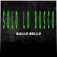 GALLO BELLO - Solo Lo Busco