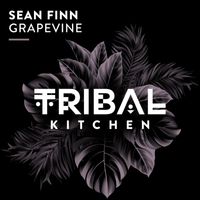 Sean Finn - Grapevine