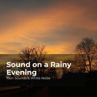 Rain Sounds & White Noise, Raindrops Sleep, Sleep Rain - Sound on a Rainy Evening