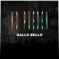GALLO BELLO - No Pueden
