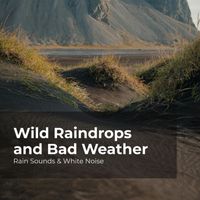 Rain Sounds & White Noise, Raindrops Sleep, Sleep Rain - Wild Raindrops and Bad Weather