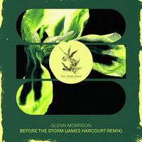 Glenn Morrison - Before The Storm (James Harcourt Remix)