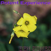 Ben Jones - Potent Experience