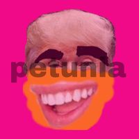 Attack - petunia
