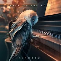 DIDOTTZ - Back on the Road (Acoustic)
