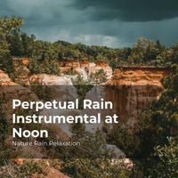Nature Rain Relaxation, Rain Recorders, Rainfall - Perpetual Rain Instrumental at Noon