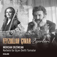 Mercan Erzincan - Kerbela'da Uçan Dertli Turnalar (Feyzullah Çınar Eserleri 1)