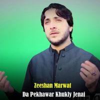 Zeeshan Marwat - Da Pekhawar Khukly Jenai