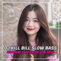 DJ Casper - DJ KILL BILL SLOW BASS