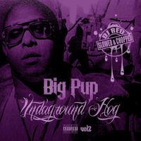 Big Pup - Undaground Hog, Vol. 2 (Slowed & Chopped) (Explicit)
