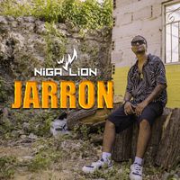Niga Lion - Jarrón