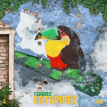 tshabee - Estupidez