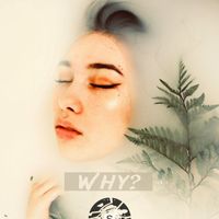 StereoMadness - Why