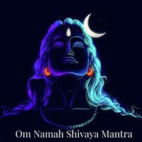 Harry - Om Namah Shivaya Mantra