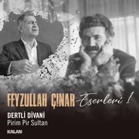 Dertli Divani - Pirim Pir Sultan (Feyzullah Çınar Eserleri 1)