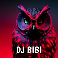 DJ Bibi - new project ful bass (ins)