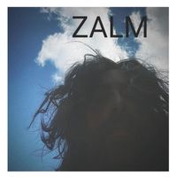 ZALM - Adventures of Starburner (Explicit)