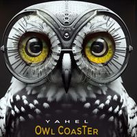 Yahel - Owl Coaster