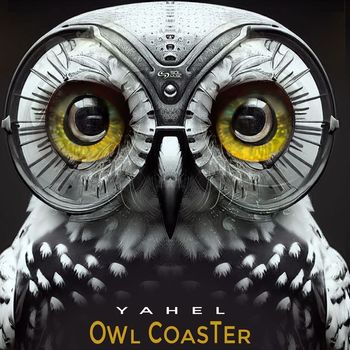 Yahel - Owl Coaster