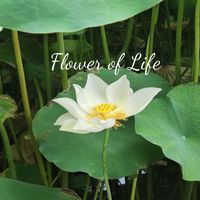 PurePiano - Flower of Life