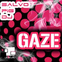 Salvo Pig Dj - Gaze