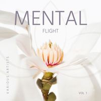 Various Artists - Mental Flight, Vol. 1