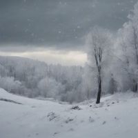 Yogi - Winter of Separation