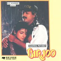 Jugal Kishore, Salim Sagar, Ratesh N. Tak, Tajdar Taj - Birjoo (Original Motion Picture Soundtrack)