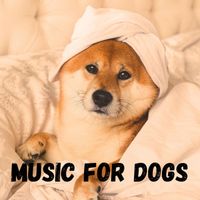 Music For Dogs, Music For Dogs Peace, Calm Pets Music Academy, Relaxing Puppy Music - Music For Dogs (Vol.170)