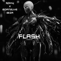 SPIKY X BORN2live Ibiza - Flash (Extedend Mix)