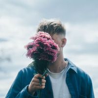 hawk - I'll make your day nice