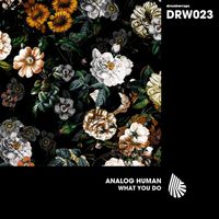 Analog Human - What You Do