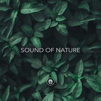 Nature Sounds - Sound Of Nature